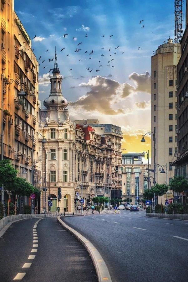 Imob Bibi House Universitate Bucureşti Exterior foto